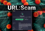 What is URL:Scam?